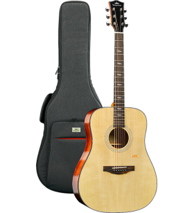 F1DN dreadnought gitaar...