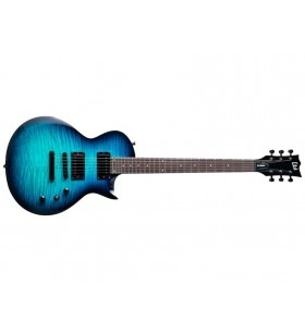 EC-200DX Electrische Gitaar...