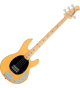 Ray24CA 4-String Bass...